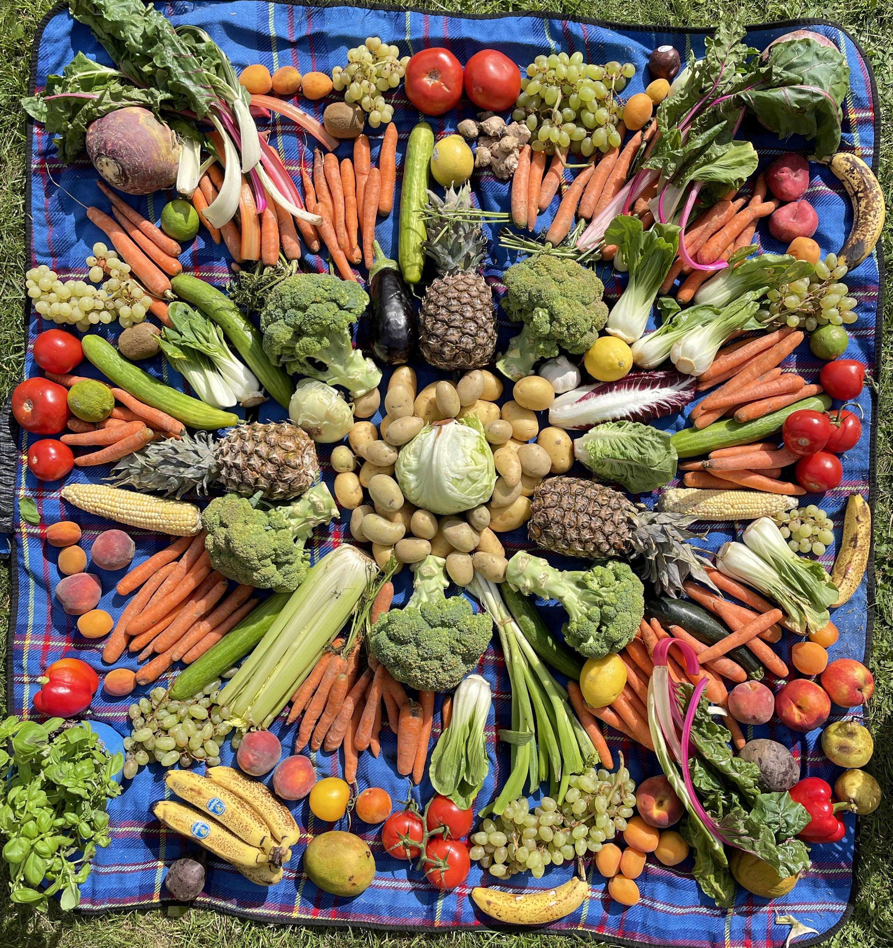 1 Mandala IMG_4694 Z.JPG