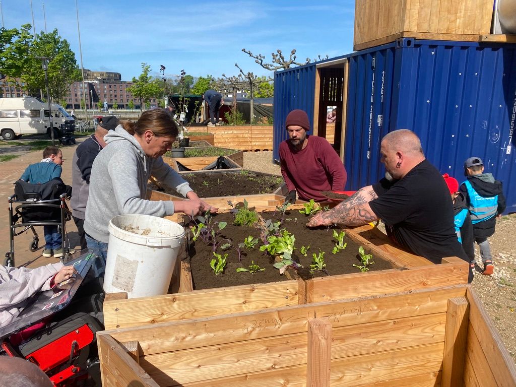 Beetbepflanzung Kalle und WUB HörnGarten.jpeg
