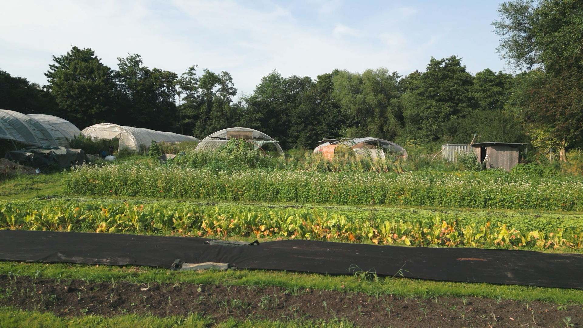 Hof Wittschap in der Vogelperspektive