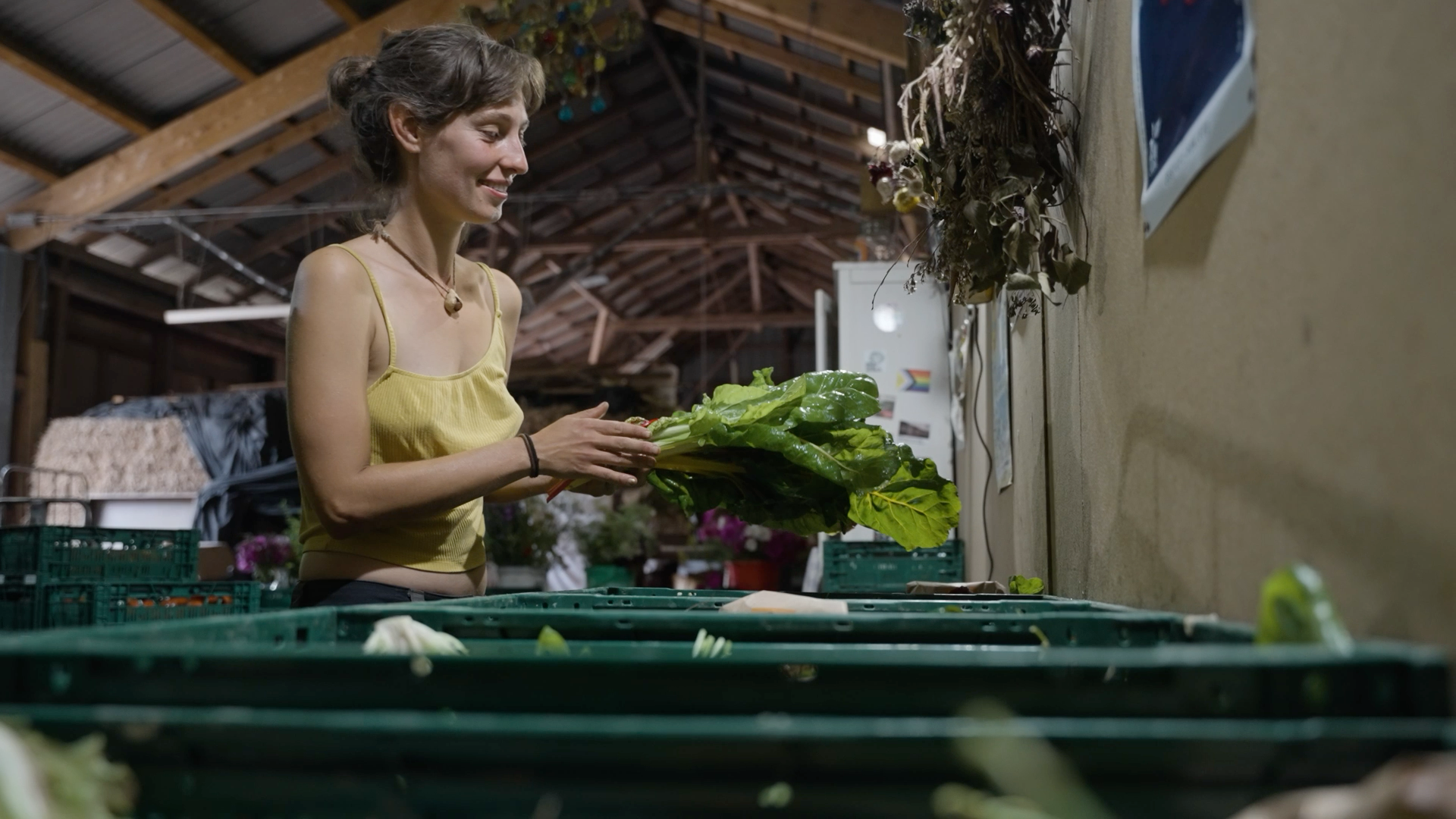 Person sortiert Gemüse