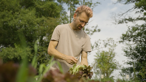 Patrick is gardening 